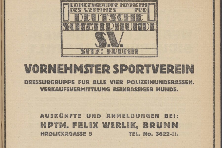 1919-Die-Juryfreien-2-katalog-055-Vedecka-knihovna-v-Olomouci.jpeg